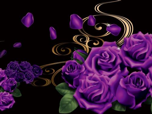 紫薔薇